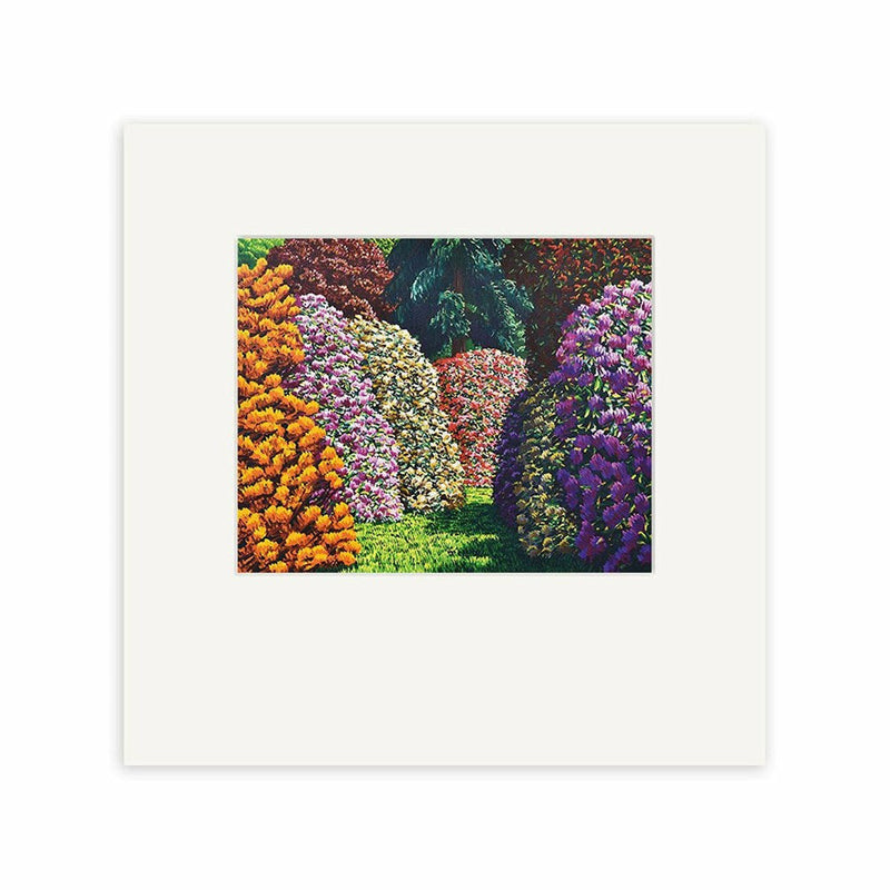 Cambridge | Karl Maughan Print
