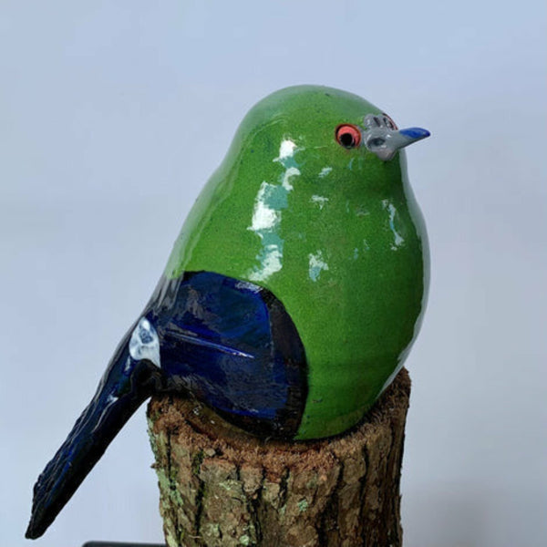 Terracotta Bellbird