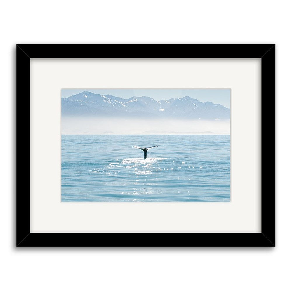 Whale Tail