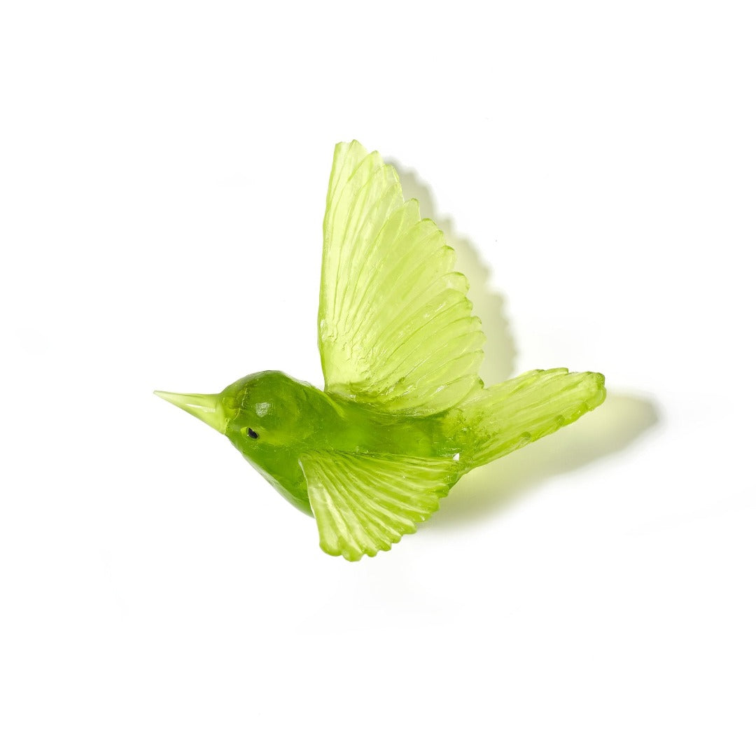 Glass Tomtit