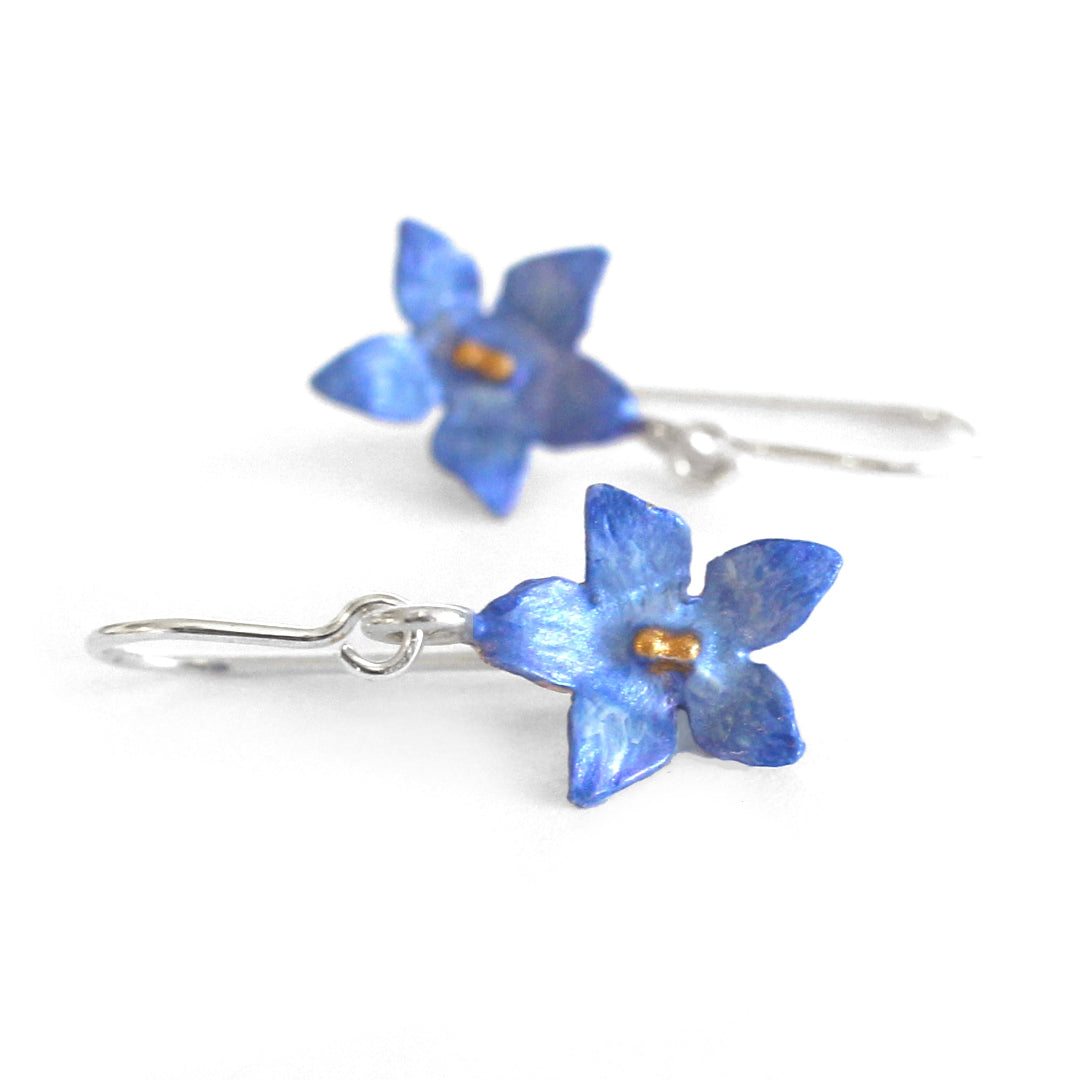 A pair of blue and gold star-shaped sterling silver bluebell flower earrings , hanging from sterling silver ear hooks.