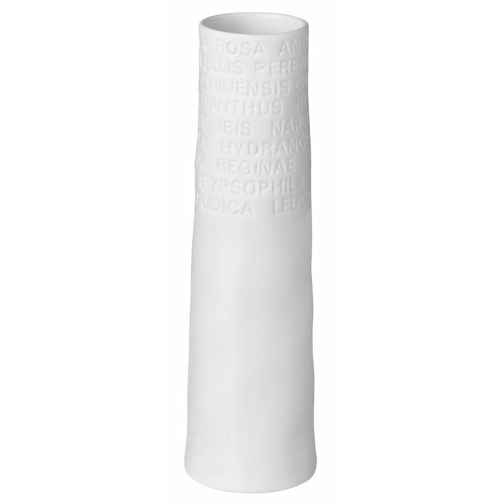 Poetry Vase S