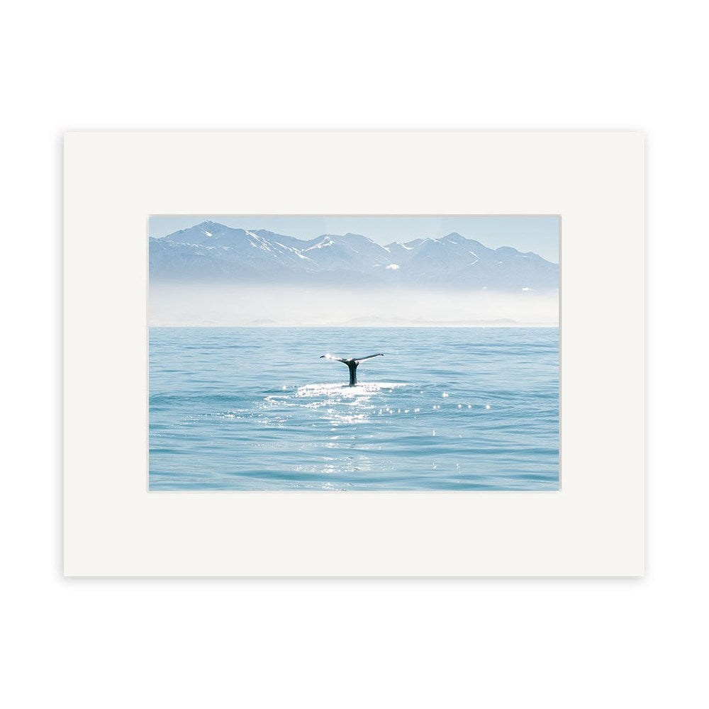 Whale Tail