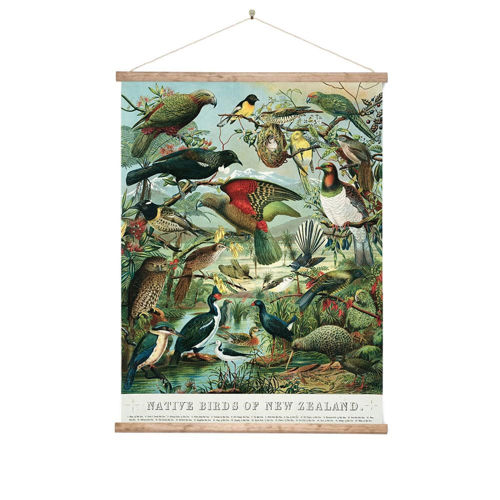 Native Birds Of New Zealand Wall Chart