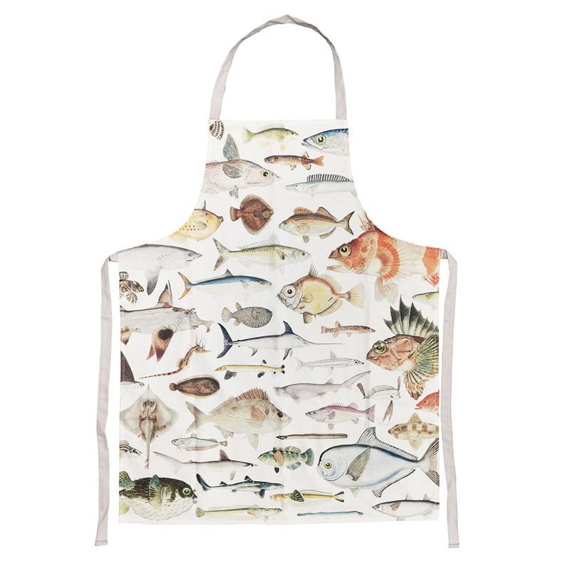 Fishes Of New Zealand Apron