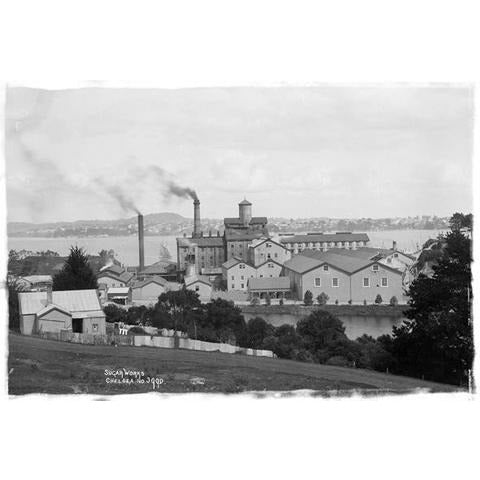 Chelsea Sugar Works Auckland 1900