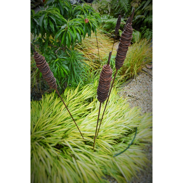 Rusted Garden Stakes