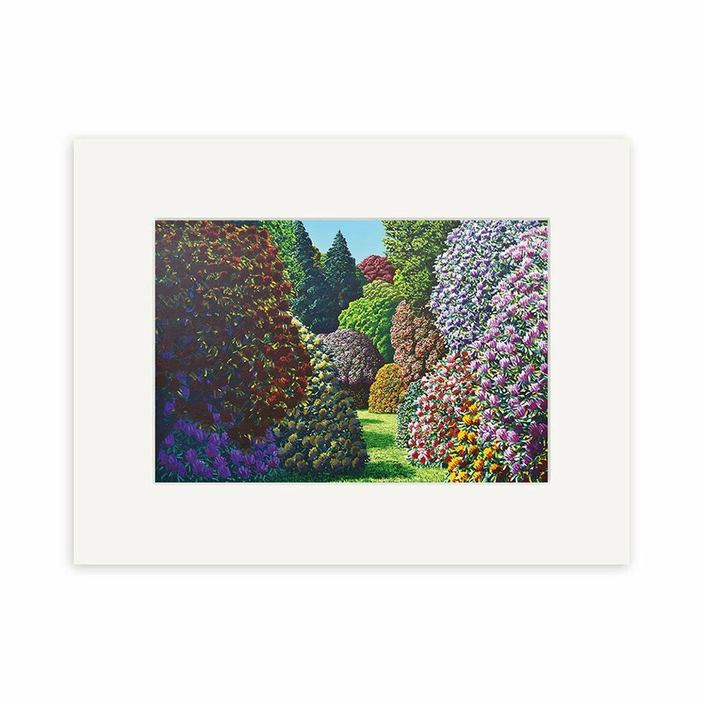 Forest Hill | Karl Maughan Print
