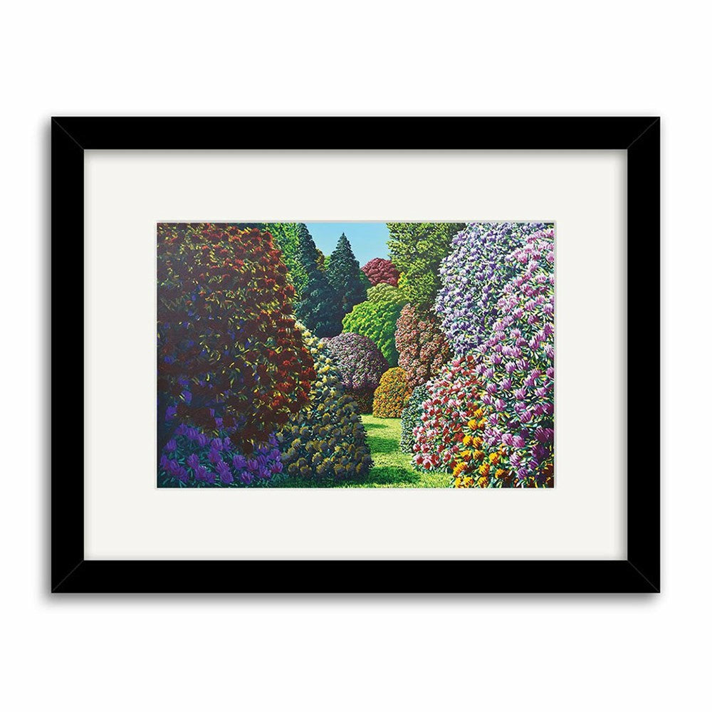 Forest Hill | Karl Maughan Print