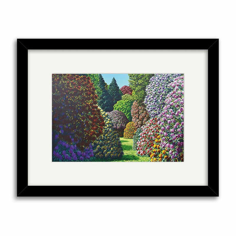 Forest Hill | Karl Maughan Print