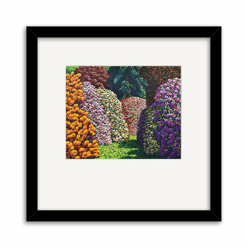 Cambridge | Karl Maughan Print