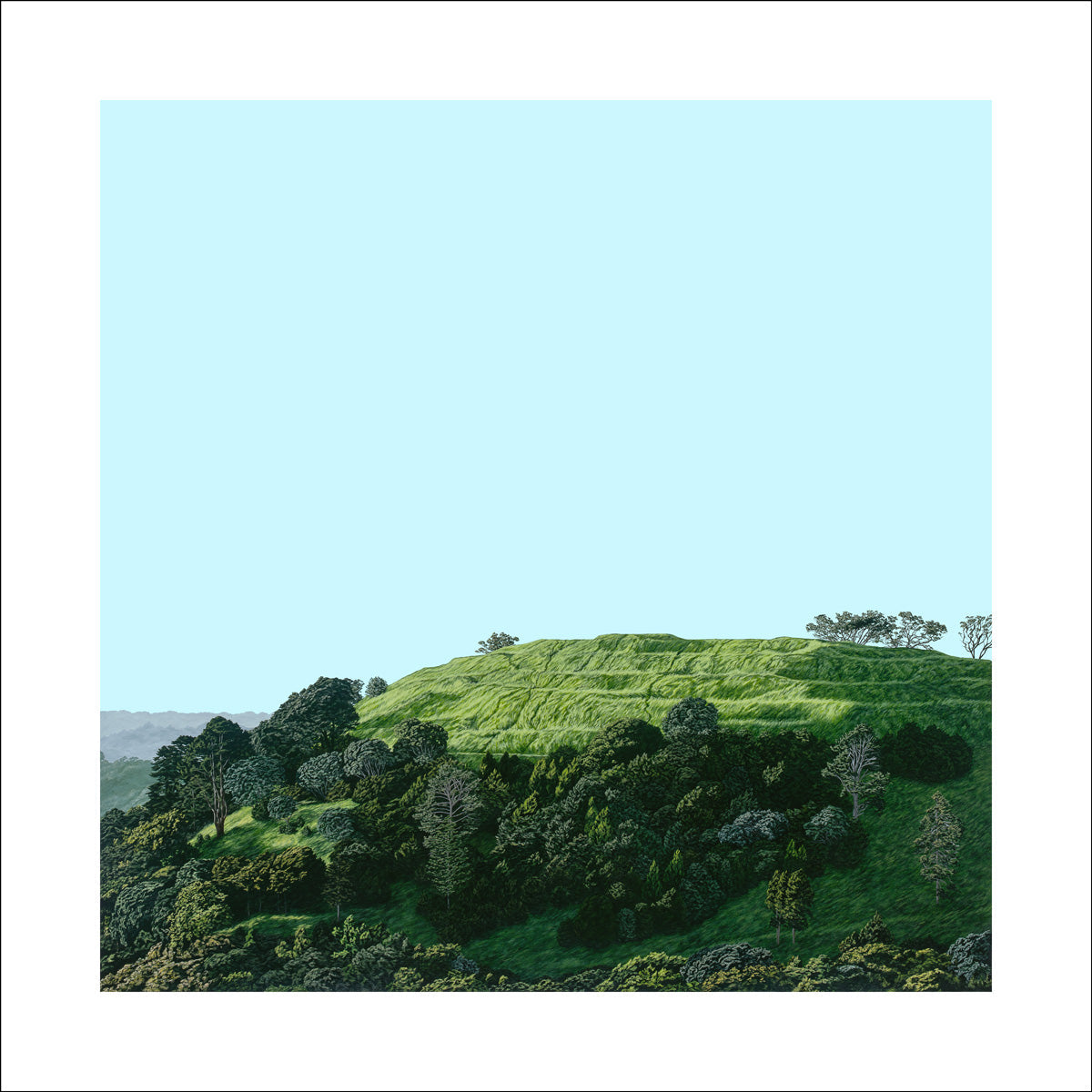 Hidden Glory | Mt Eden