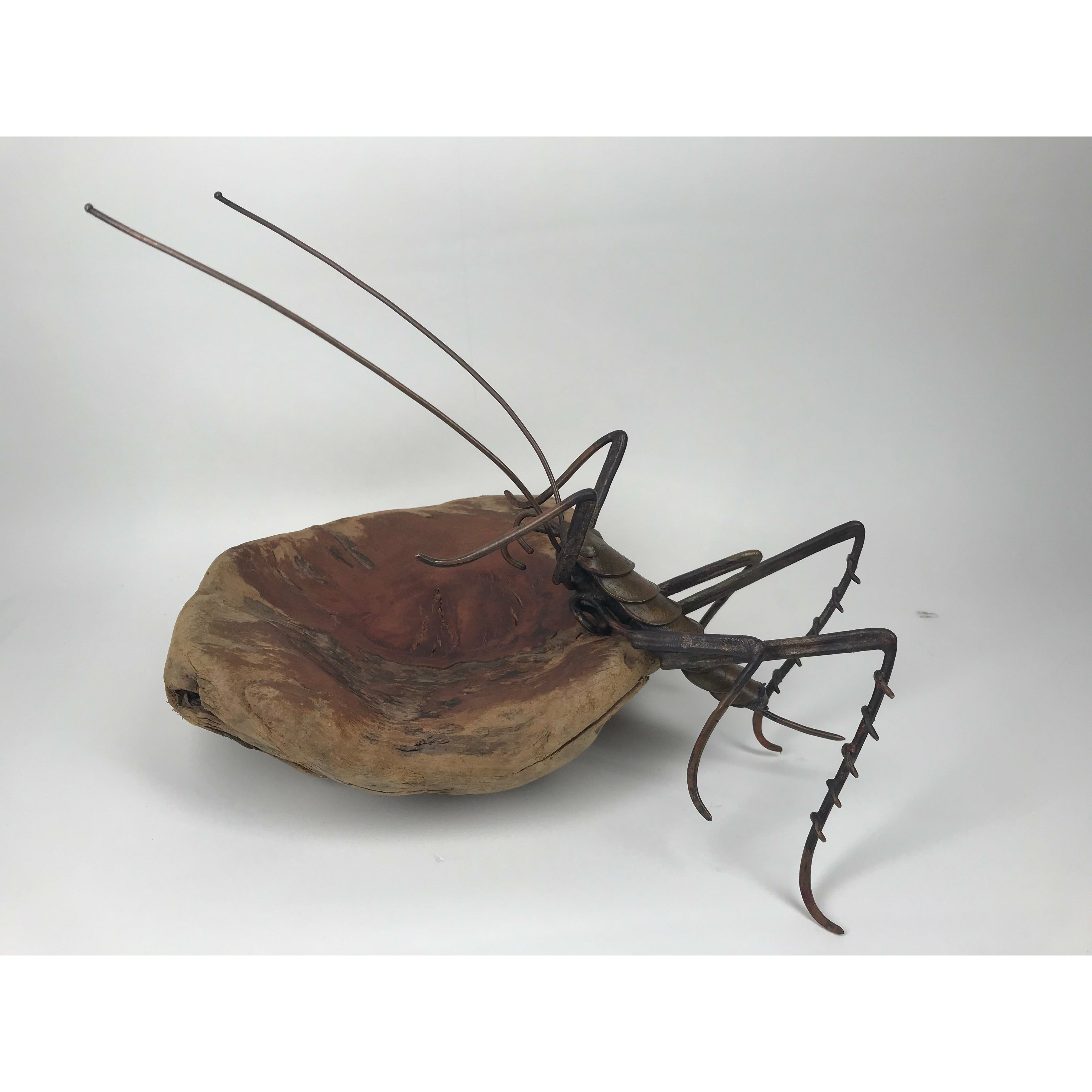 Large Copper Weta