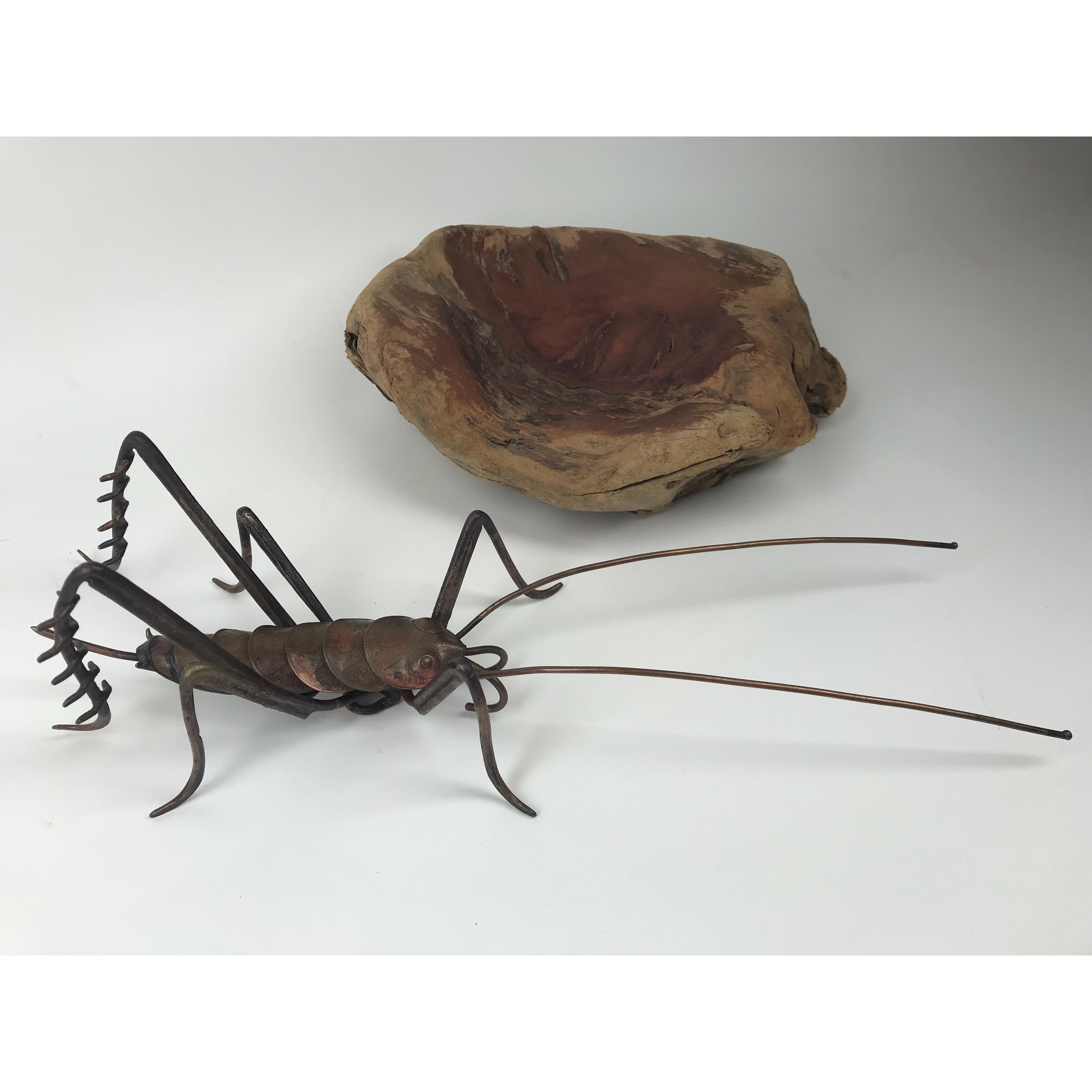 Large Copper Weta