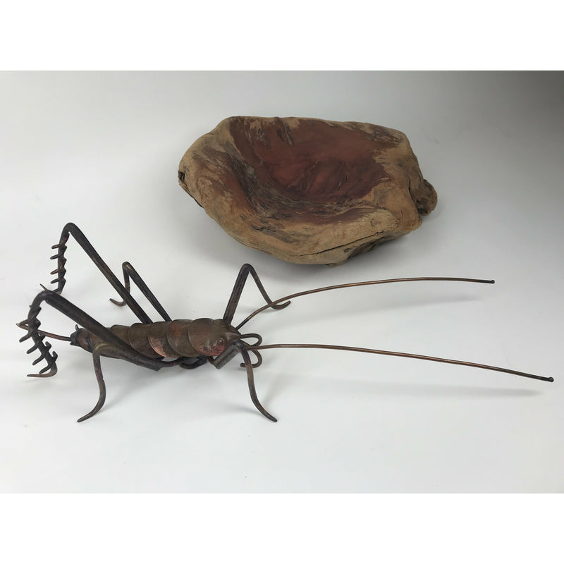 Large Copper Weta