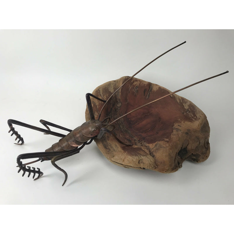 Large Copper Weta