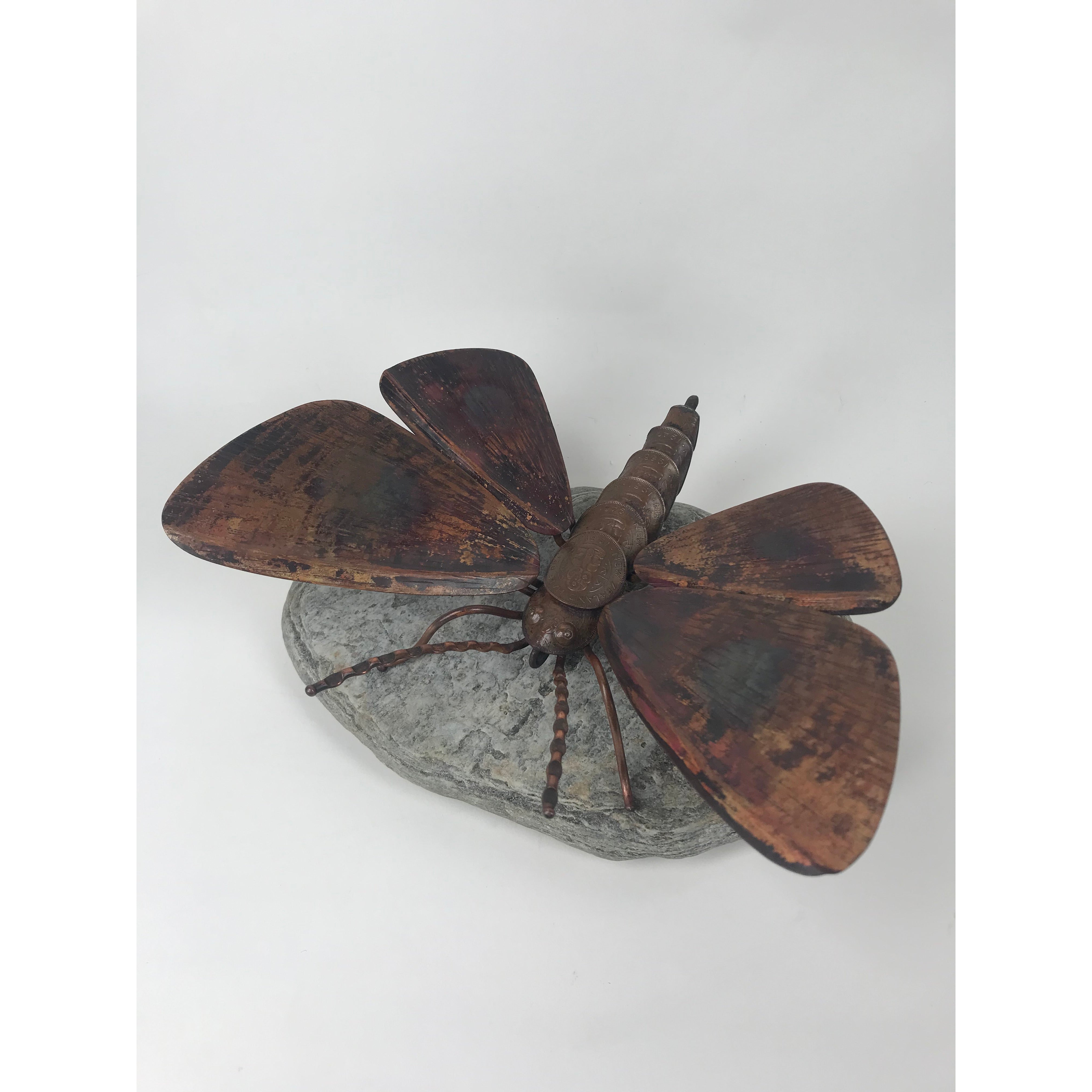 Kawakawa Looper Moth