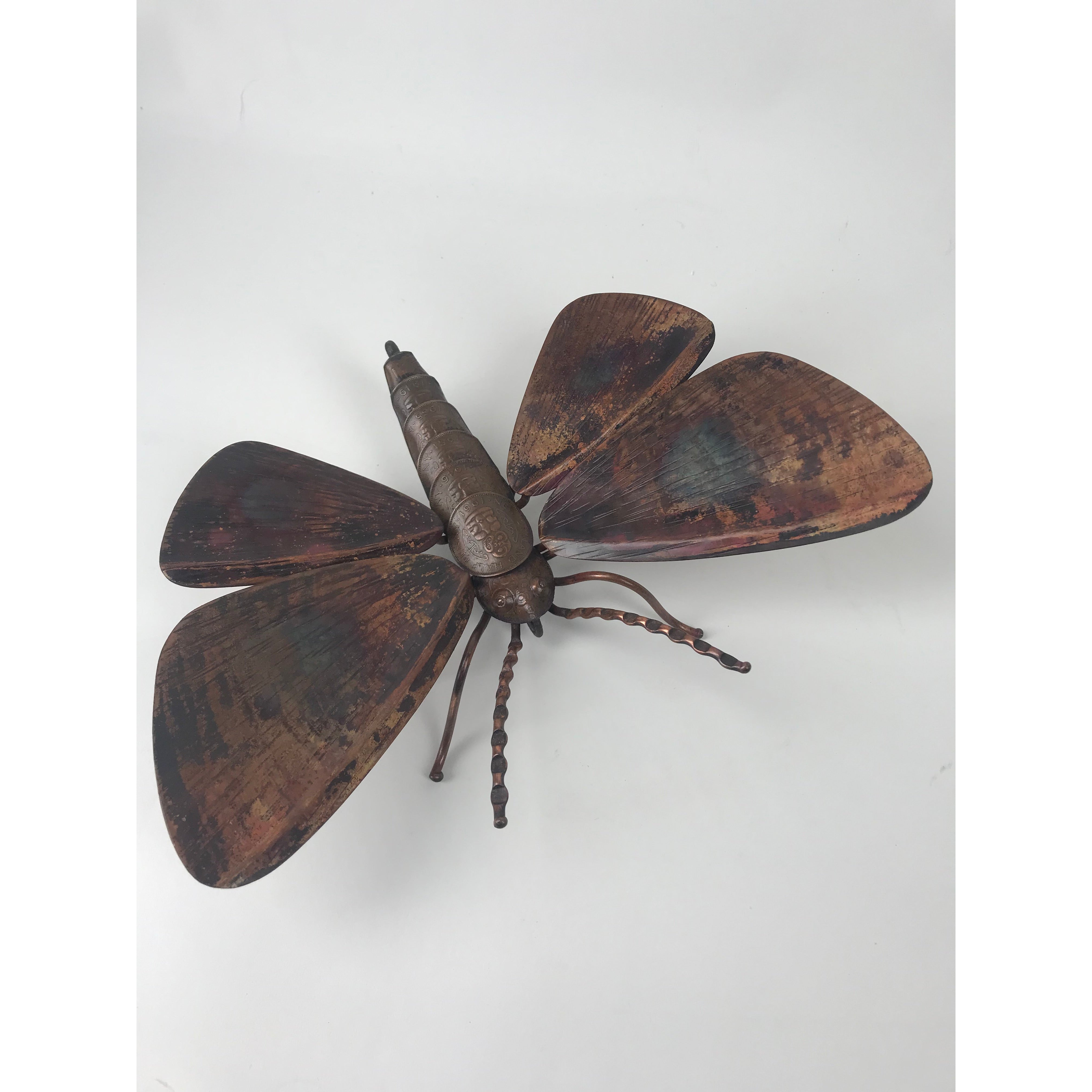 Kawakawa Looper Moth