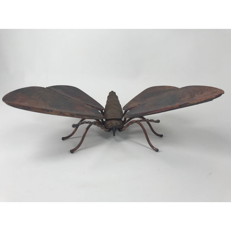 Kawakawa Looper Moth