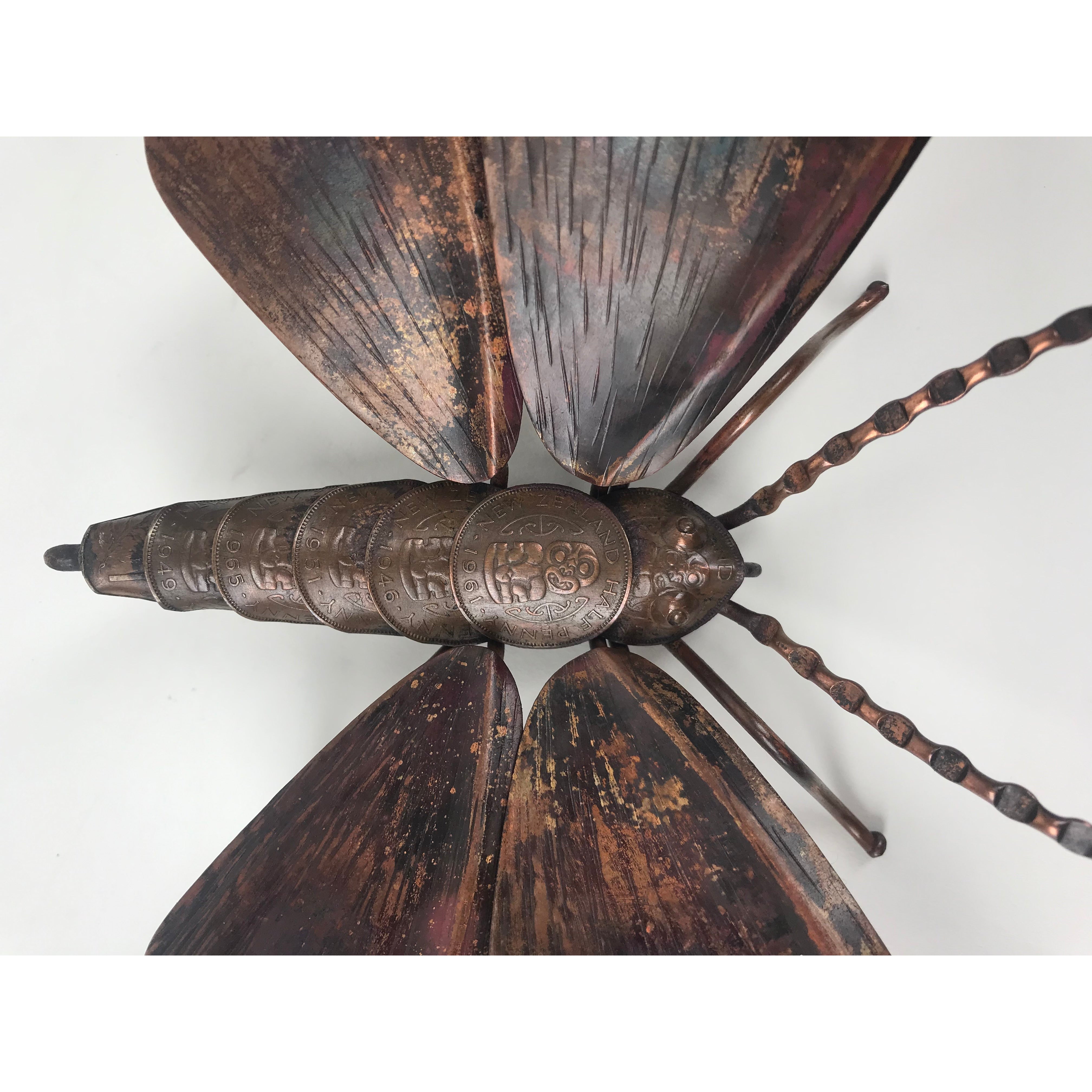 Kawakawa Looper Moth
