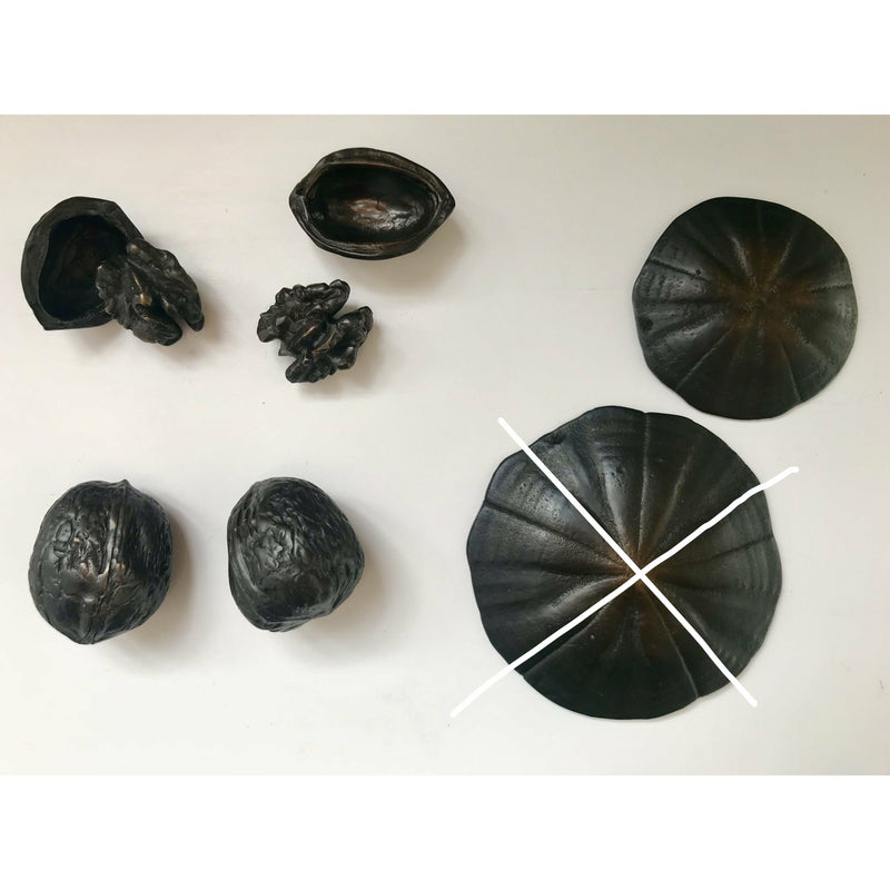 Bronze Shells, Seeds and Nuts