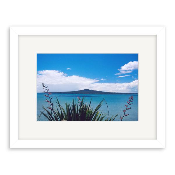 Rangitoto Island With Harakeke