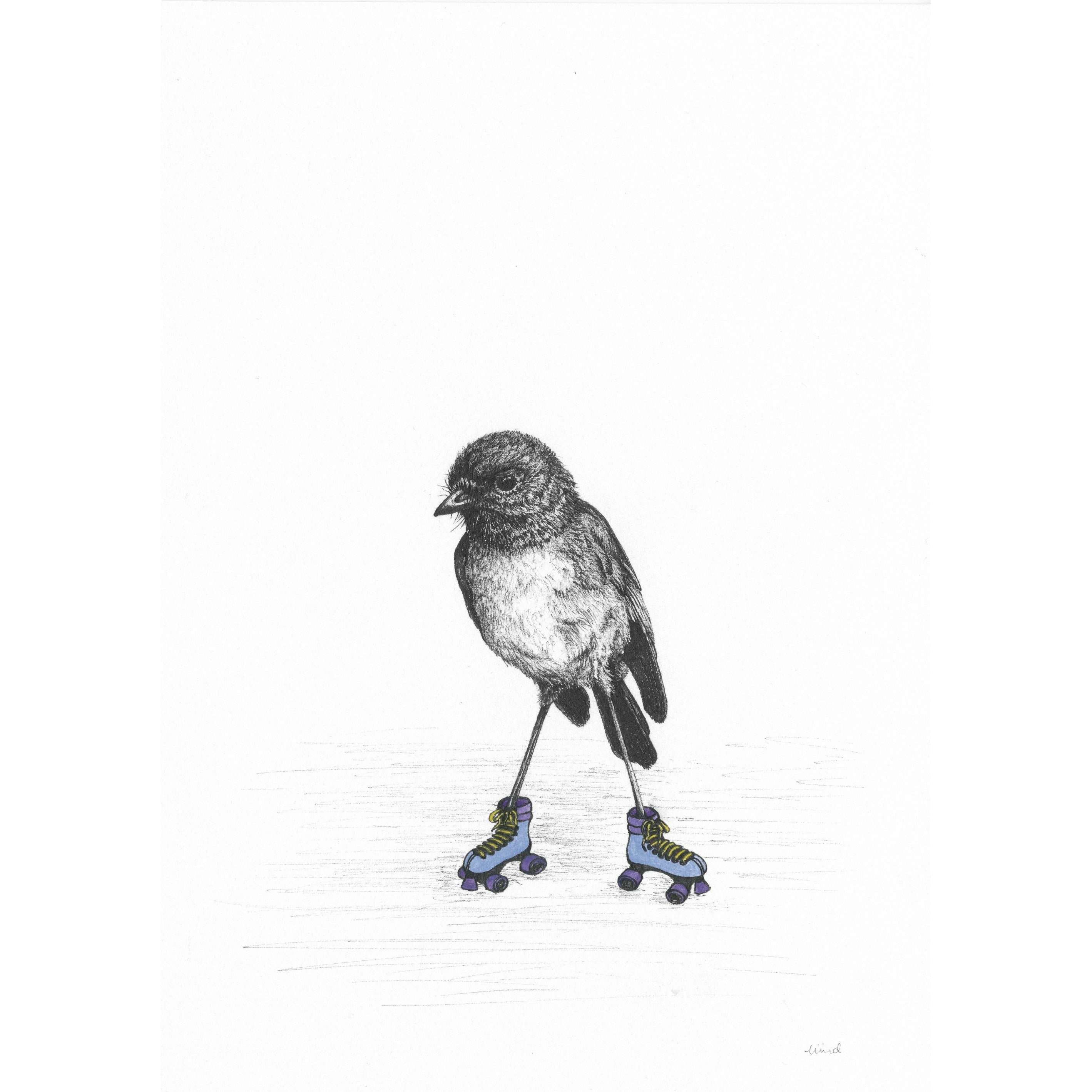 Bird Sketches Limited Edition Series