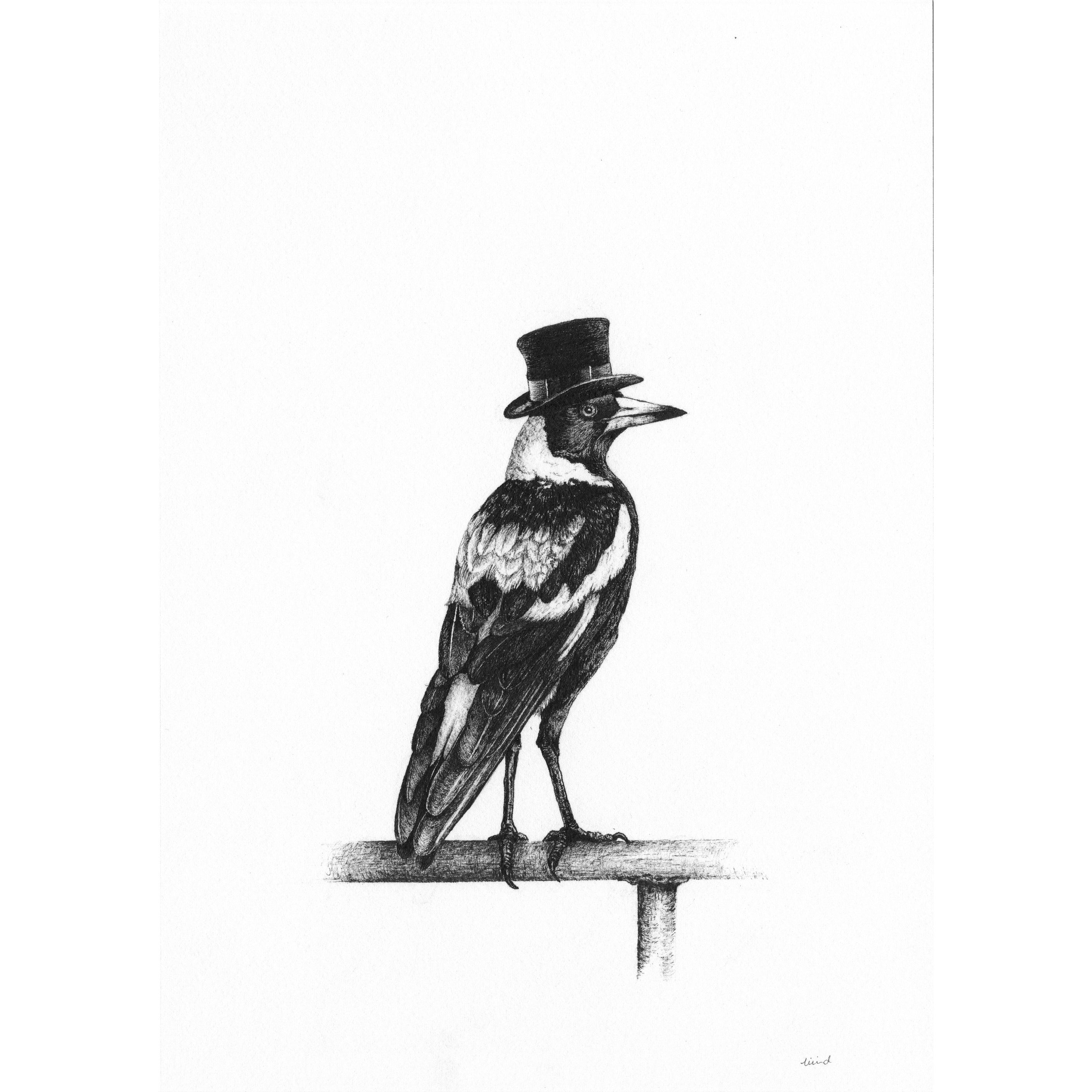 Bird Sketches Limited Edition Series