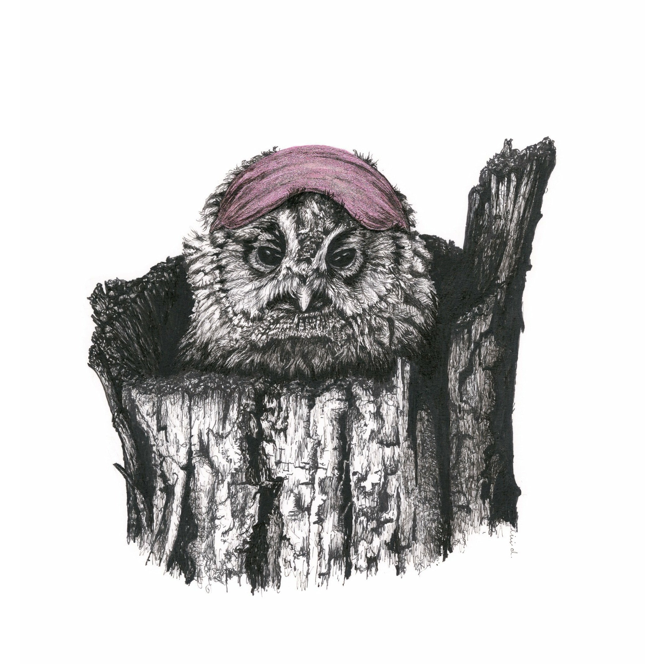 Bird Sketches Limited Edition Series