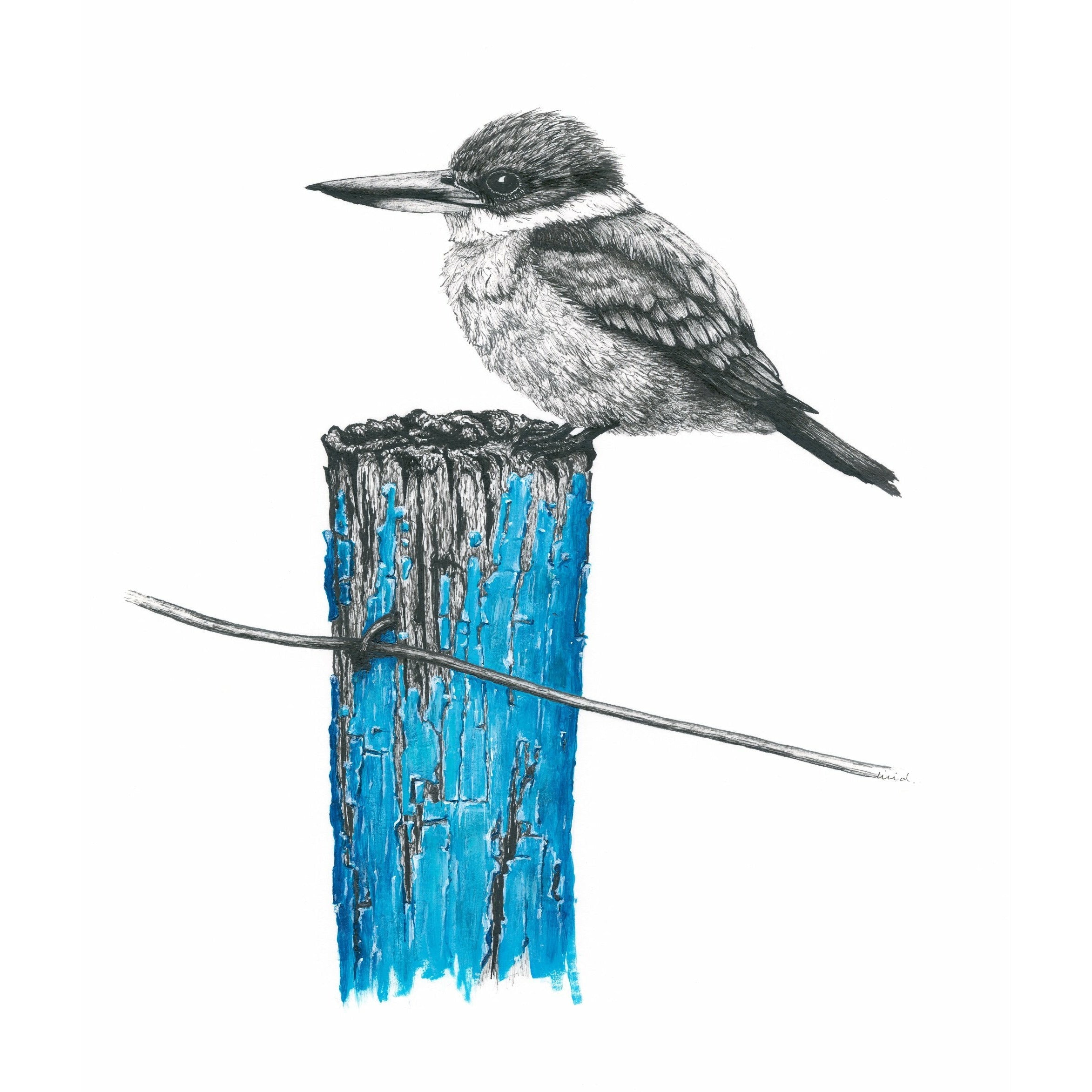 Bird Sketches Limited Edition Series