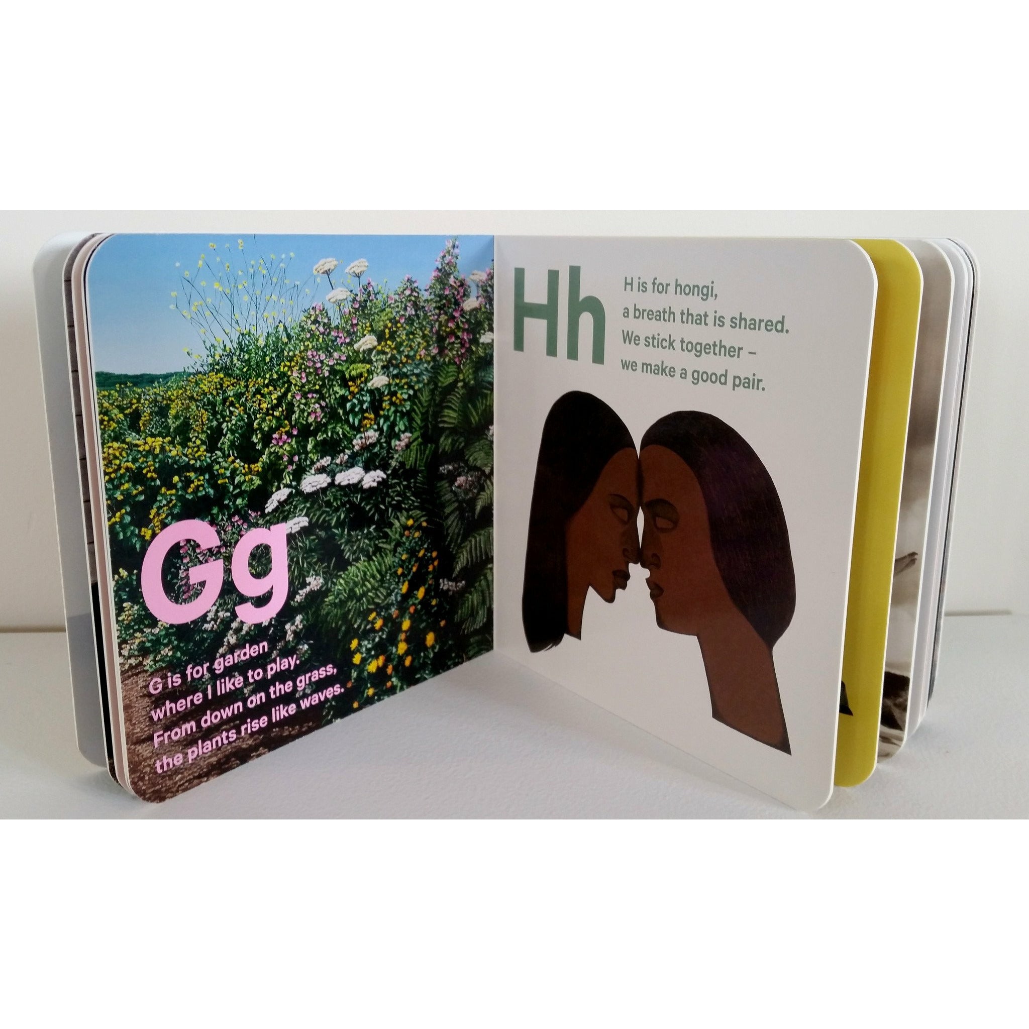 My New Zealand Books
