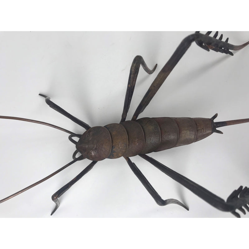 Large Copper Weta